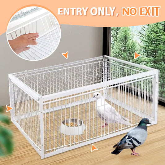 Auto Trap Humane Bird Cage